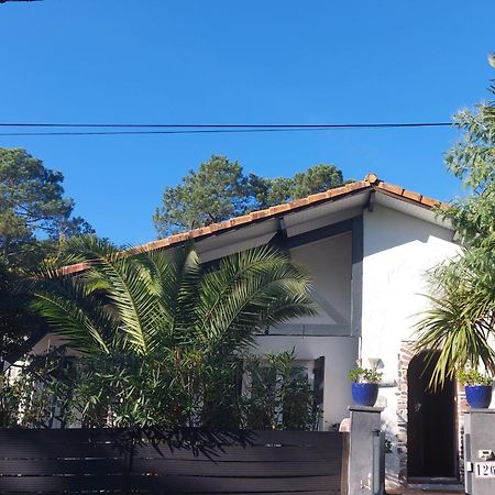 Villa Zaphira Gujan-Mestras Exterior foto